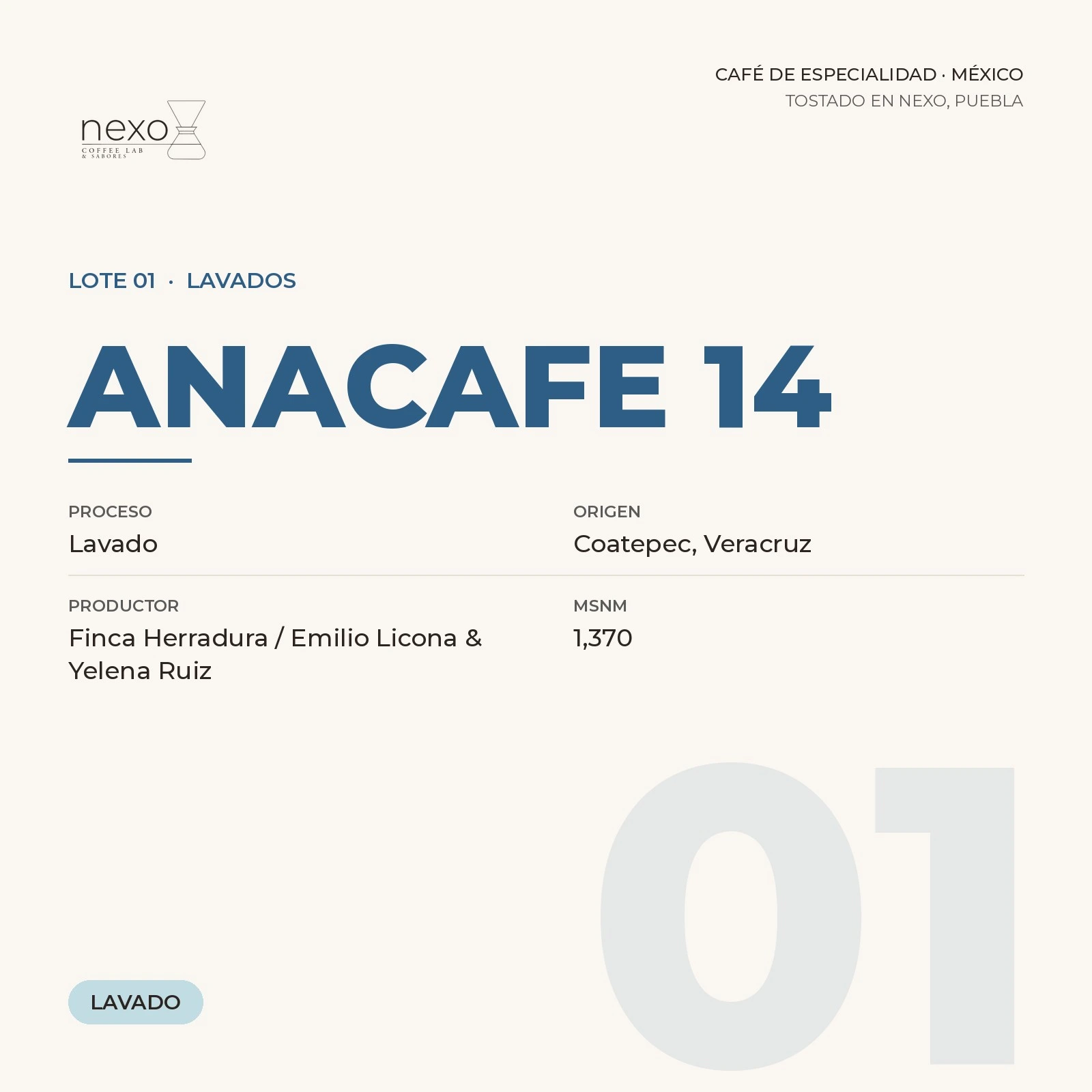Lote 01 · Anacafe 14, bolsa de 250 g de café de Coatepec, Veracruz tostado por NEXO