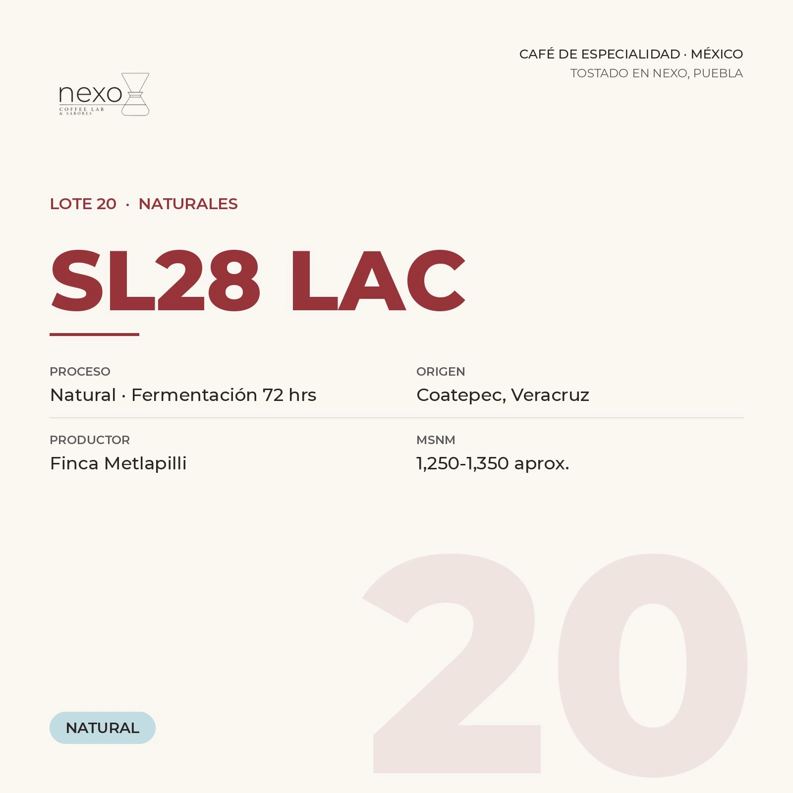 Lote 20 · SL28 LAC, bolsa de 250 g de café de Coatepec, Veracruz tostado por NEXO