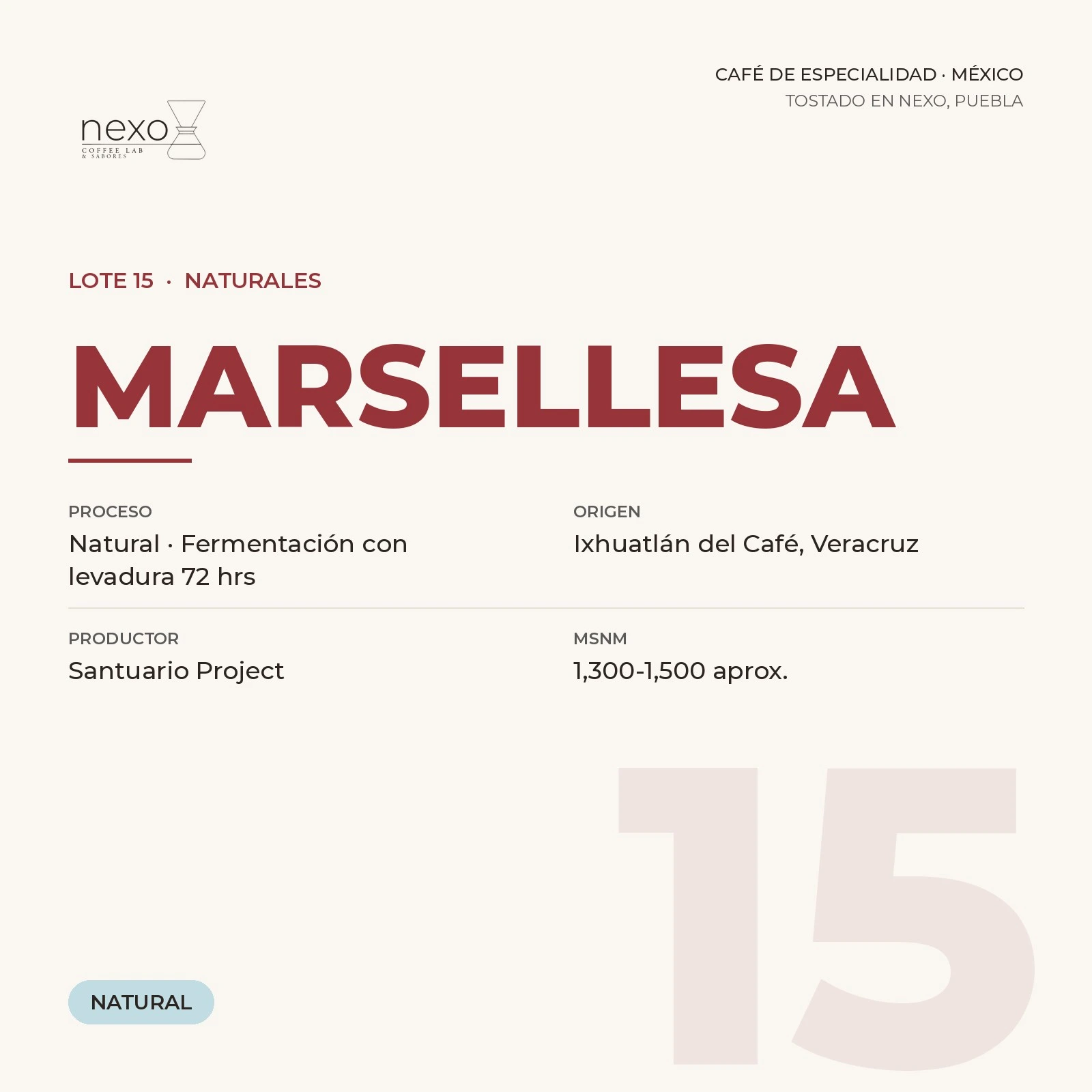 Lote 15 · Marsellesa, bolsa de 250 g de café de Ixhuatlán del Café, Veracruz tostado por NEXO