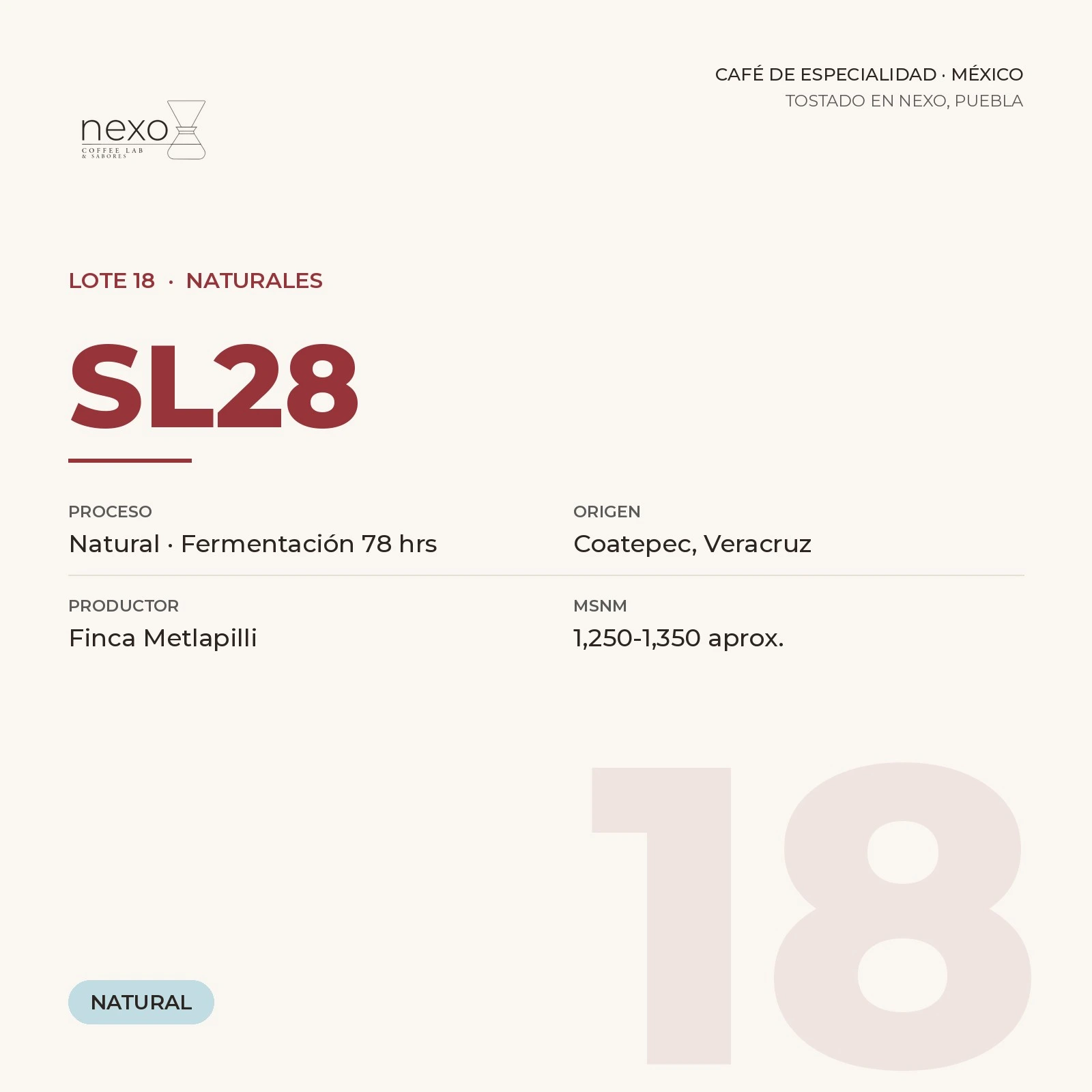 Lote 18 · SL28, bolsa de 250 g de café de Coatepec, Veracruz tostado por NEXO