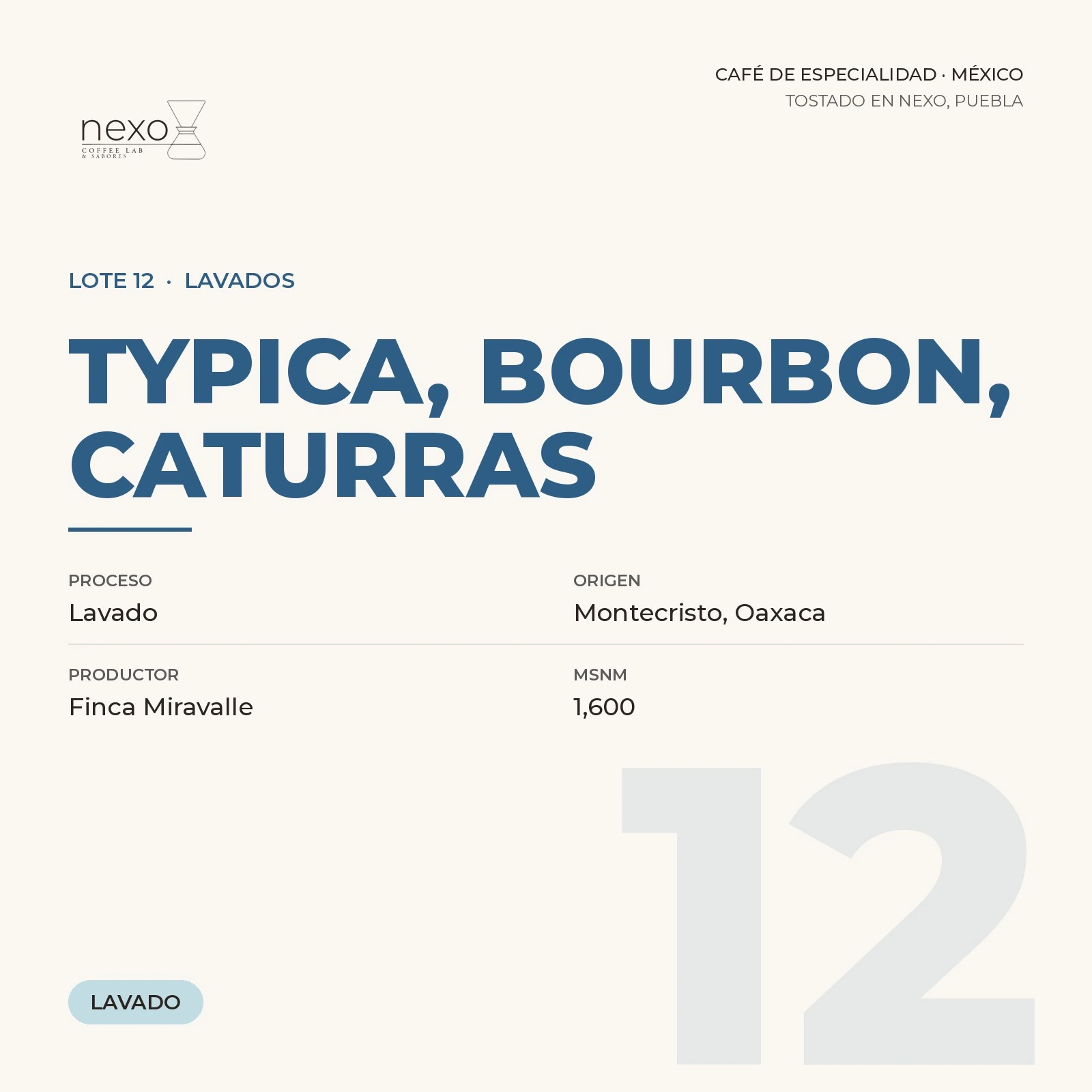 Lote 12 · Typica, Bourbon, Caturras, bolsa de 250 g de café de Montecristo, Oaxaca tostado por NEXO