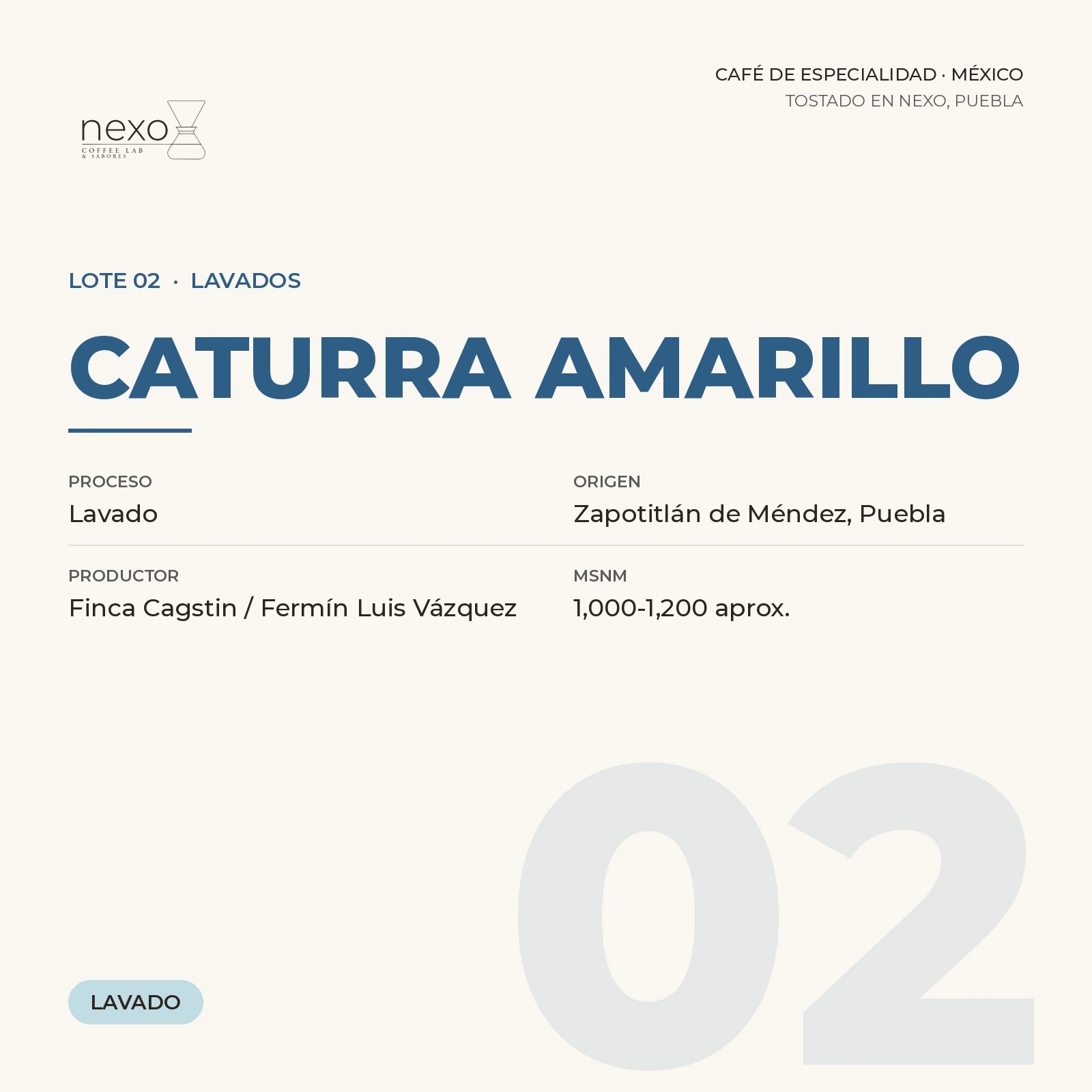 Lote 02 · Caturra Amarillo, bolsa de 250 g de café de Zapotitlán de Méndez, Puebla tostado por NEXO