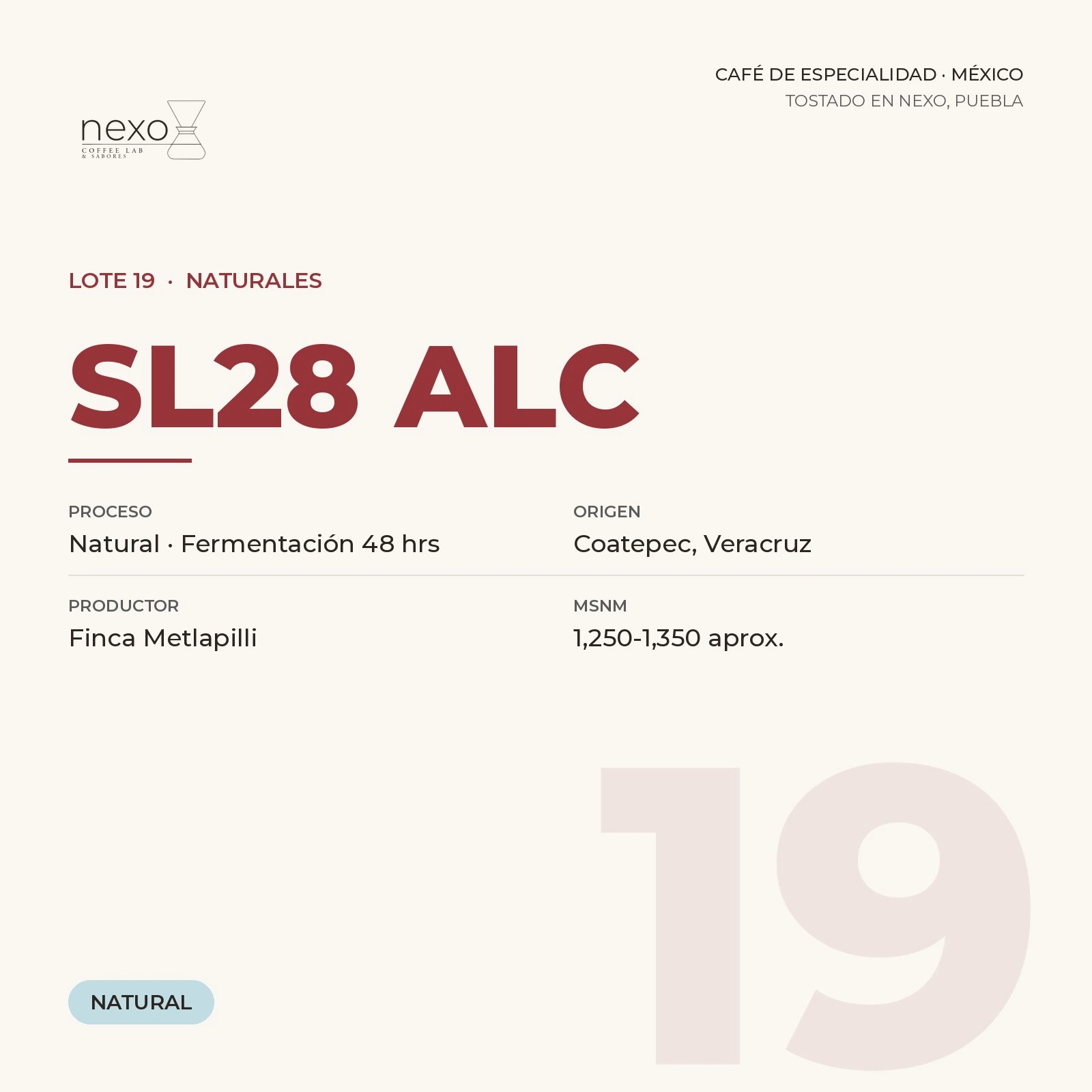Lote 19 · SL28 ALC, bolsa de 250 g de café de Coatepec, Veracruz tostado por NEXO