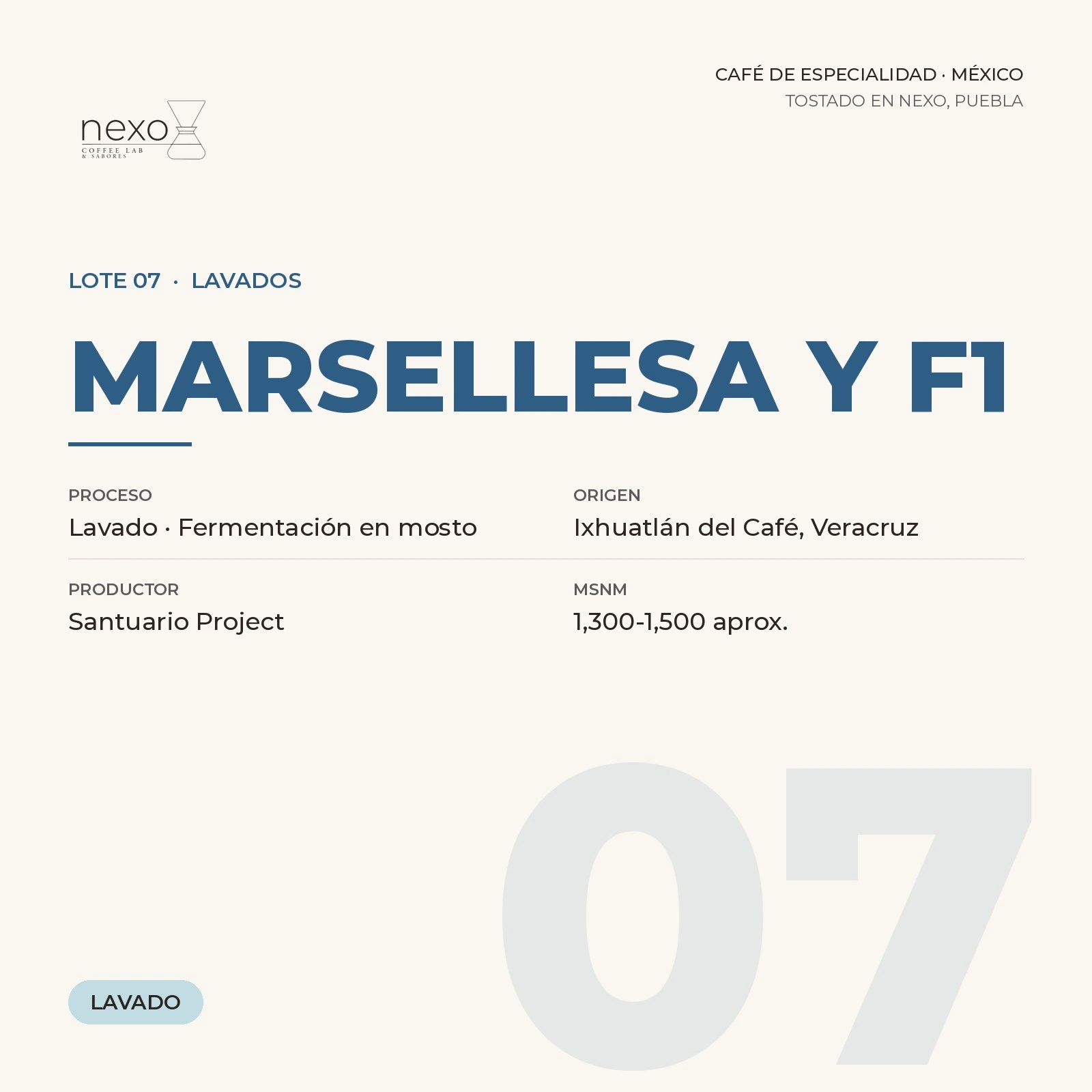 Lote 07 · Marsellesa y F1, bolsa de 250 g de café de Ixhuatlán del Café, Veracruz tostado por NEXO