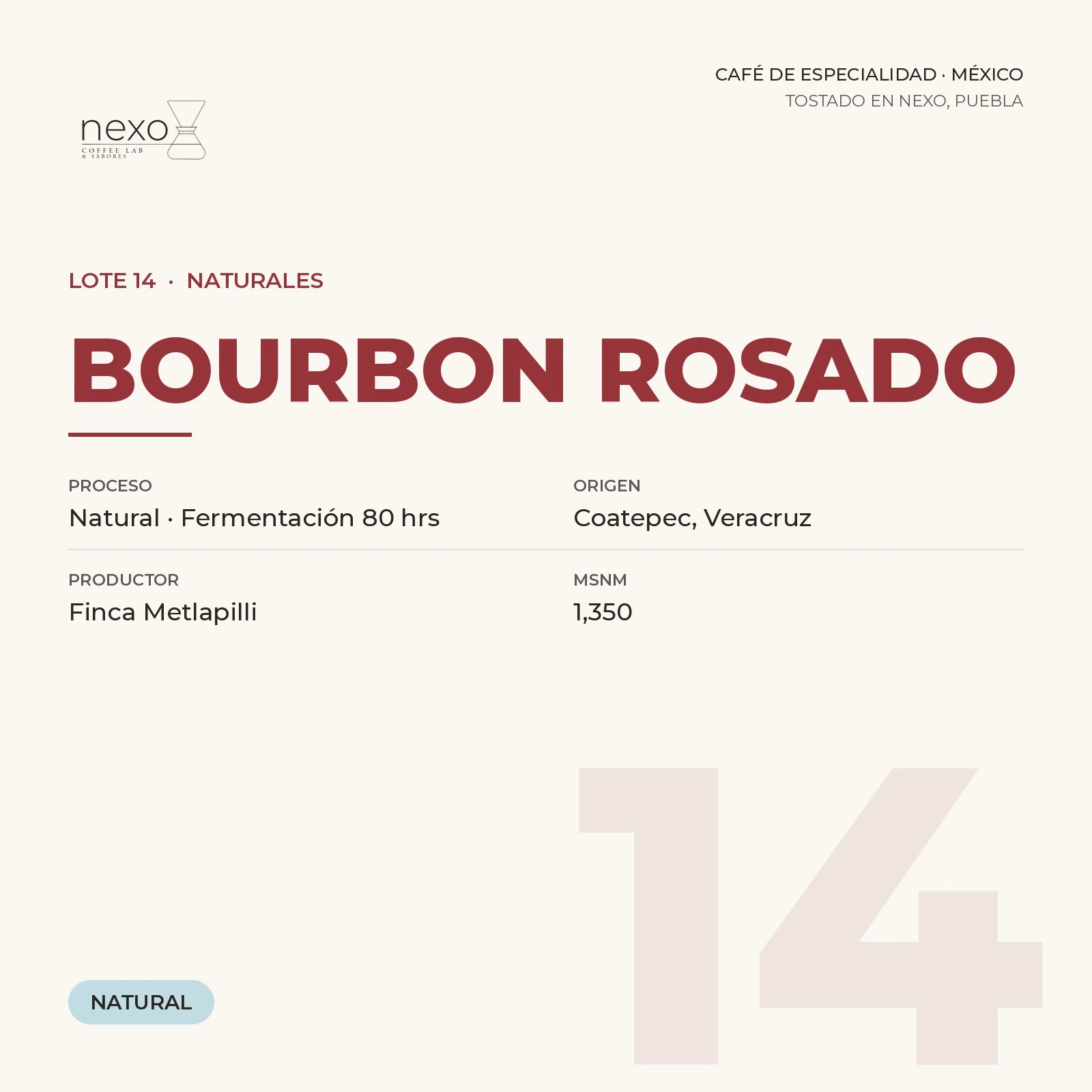 Lote 14 · Bourbon Rosado, bolsa de 250 g de café de Coatepec, Veracruz tostado por NEXO