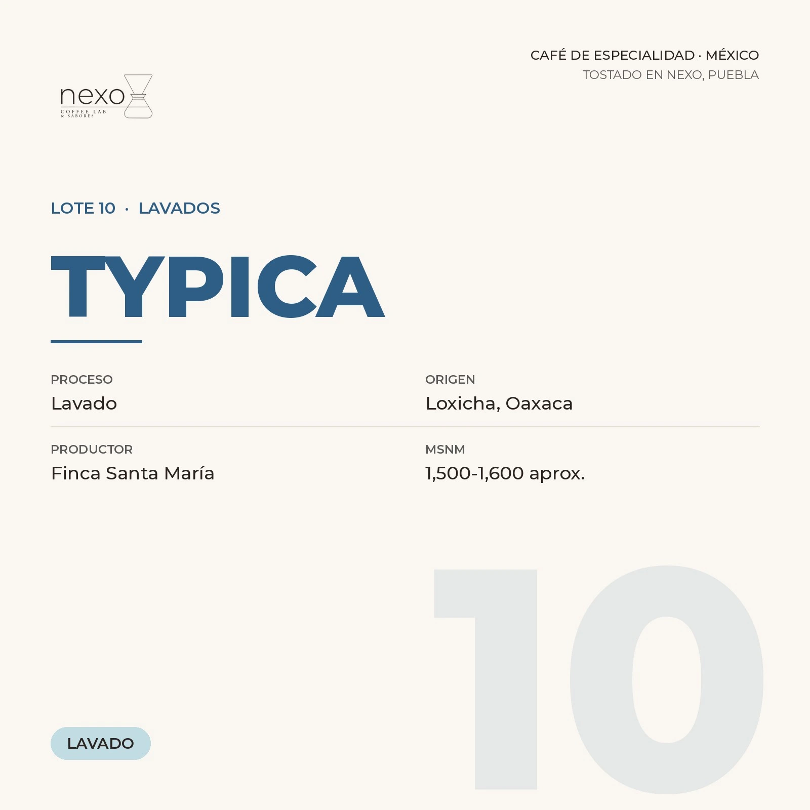 Lote 10 · Typica, bolsa de 250 g de café de Loxicha, Oaxaca tostado por NEXO