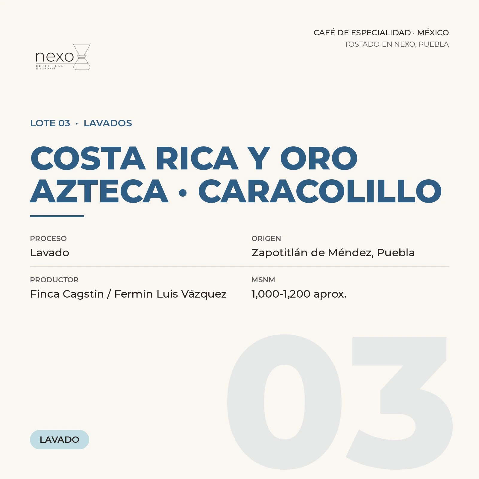Lote 03 · Costa Rica y Oro Azteca · Caracolillo, bolsa de 250 g de café de Zapotitlán de Méndez, Puebla tostado por NEXO