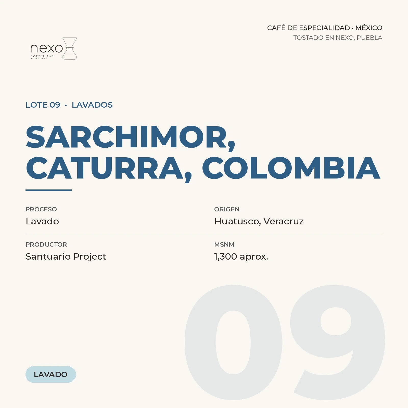 Lote 09 · Sarchimor, Caturra, Colombia, bolsa de 250 g de café de Huatusco, Veracruz tostado por NEXO
