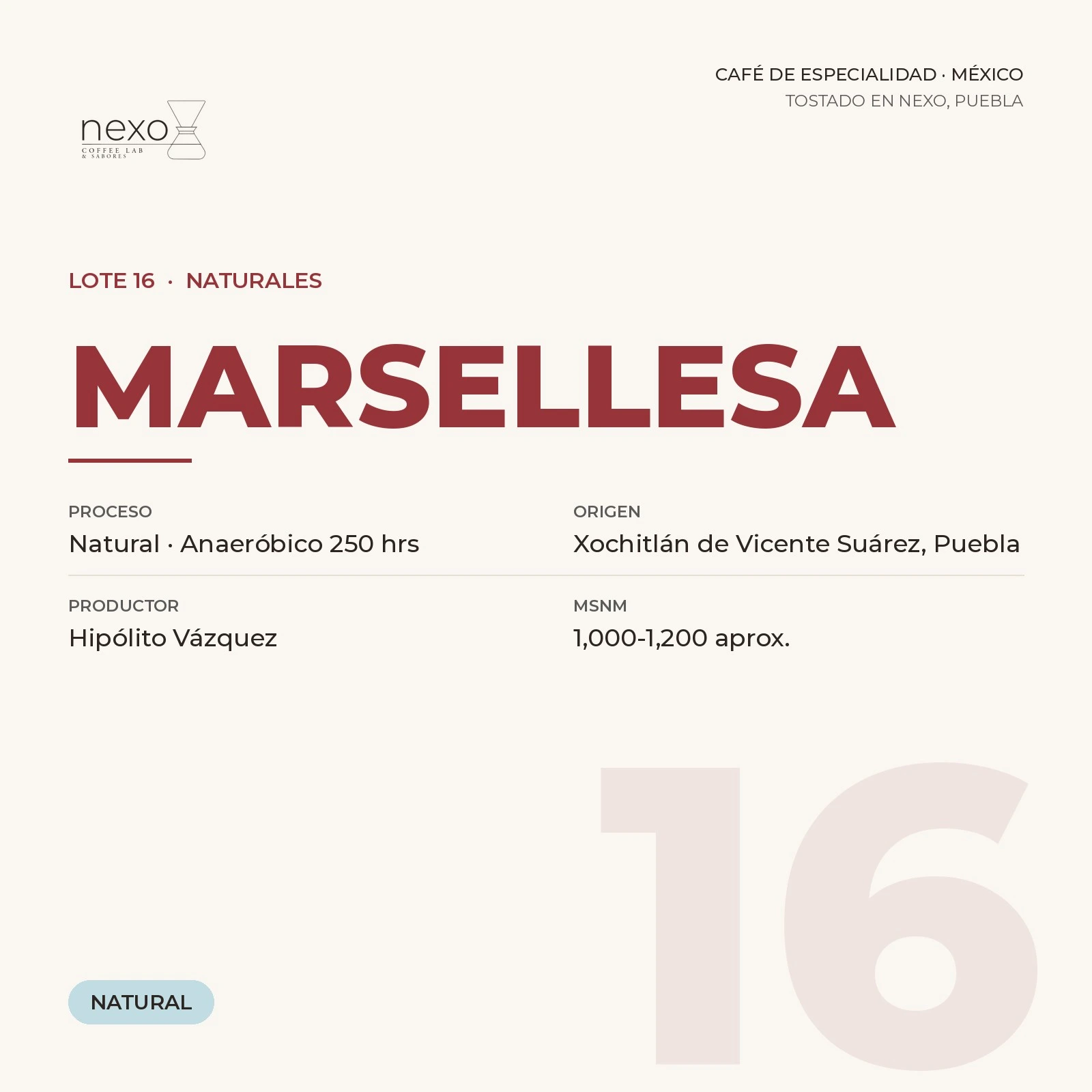 Lote 16 · Marsellesa, bolsa de 250 g de café de Xochitlán de Vicente Suárez, Puebla tostado por NEXO