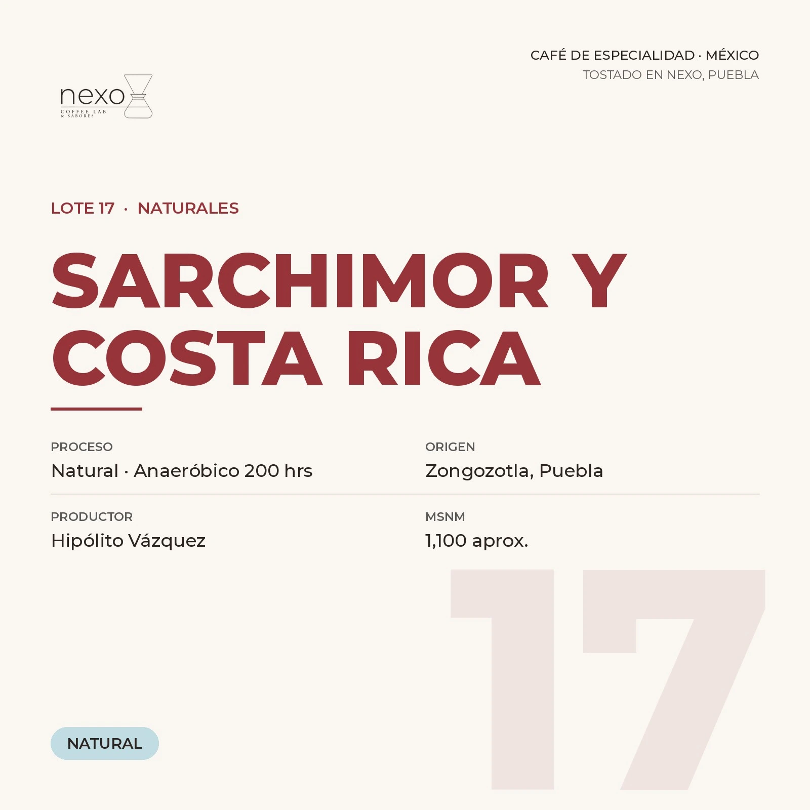 Lote 17 · Sarchimor y Costa Rica, bolsa de 250 g de café de Zongozotla, Puebla tostado por NEXO