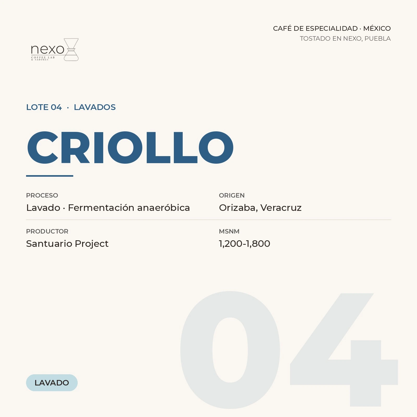 Lote 04 · Criollo, bolsa de 250 g de café de Orizaba, Veracruz tostado por NEXO